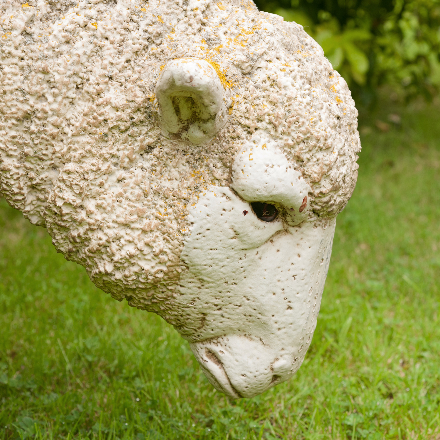 full size resin garden sheep